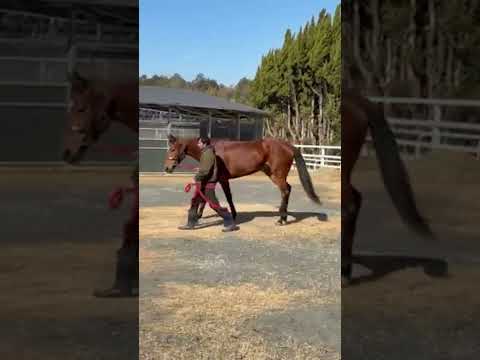 {{itemName}}_video_thumbnail