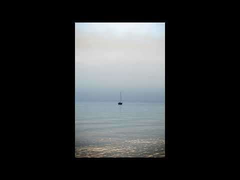 Ana Sofia Morningstar - Flower (official audio)