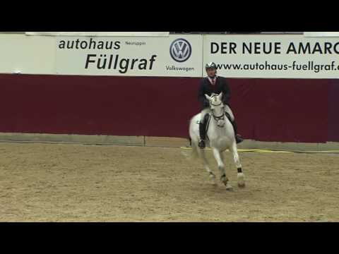 Conturio Hengstpräsentation 2017