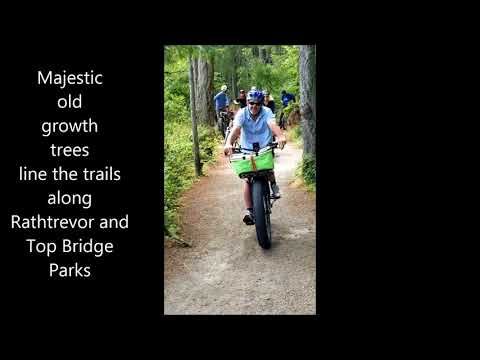 Rathtrevor top bridge parksville community park