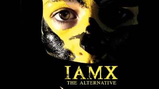 IAMX - Nightlife (2008, UK Version)