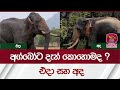 අග්බෝට දැන් කොහොමද ? - එදා සහ අද - Agbo - Discover Sri Lanka | Rupavahini 