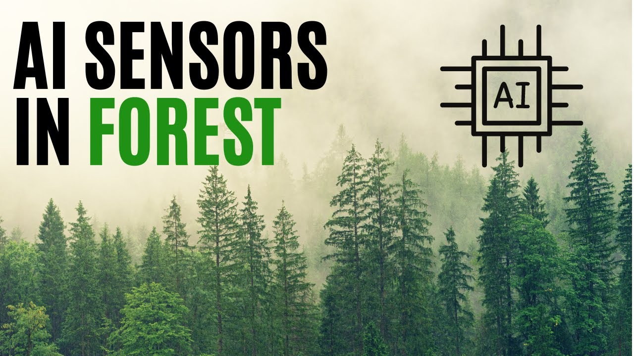 AI sensors in the forest can smell a wildfire before it spreads | TMTNT TECHNOLOGY