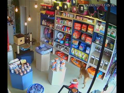 Dr. Sara May, Allergy and Immunology