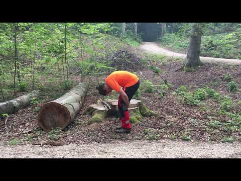 Étirement - D1 Extenseurs du dos