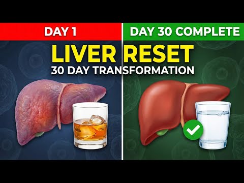 Dry January: What Really Happens to Your Liver in 30 Days (Explained)