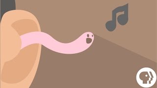 Why Do Songs Get Stuck In Your Head?