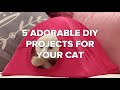 5 Adorable DIY Projects For Your Cat 5 Adorable DIY Projects For Your Cat