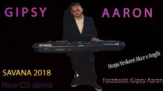 Gipsy Aaron - SAVANA 2018 Gipsy Aaron - SAVANA 2018