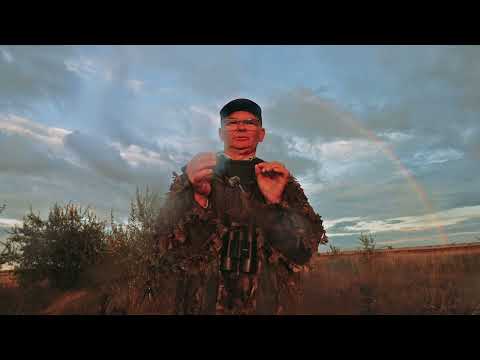 Sanyi távcsöve: A Böddi-szék ugróbajnoka – a sisakos sáska! 🦗