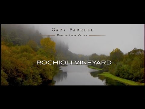 Rochioli Vineyards