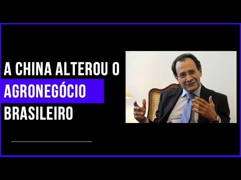 4.0 no Campo: A China alterou o agronegócio brasileiro