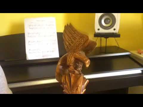 Lavda - Albanian folk instrument - Agron Pllumaj