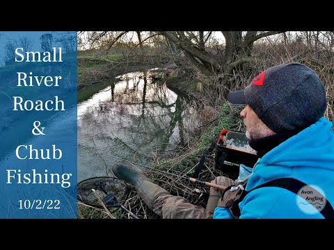 Small River Roach & Chub Fishing - A Winter's Afternoon Roving Session - 10/2/22 (Video 302)