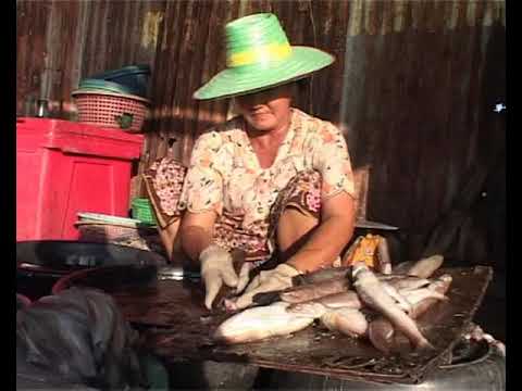 การศึกษากระบวนการสมานฉันท์เพื่อสร้างสุขภาวะในสังคม ช่วงที่ 1