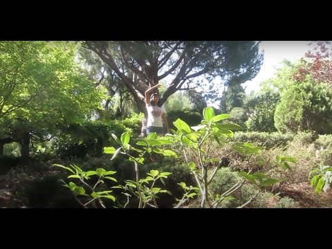 En el Tiempo de la Luna