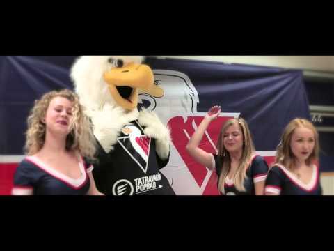 Angels Cheerleaders and Harvy