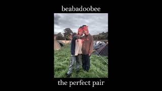 Cover art for The perfect pair