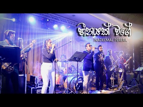 Heenayak Wage | හීනයක් වගේ | Live Nadeemal Perera with Hope