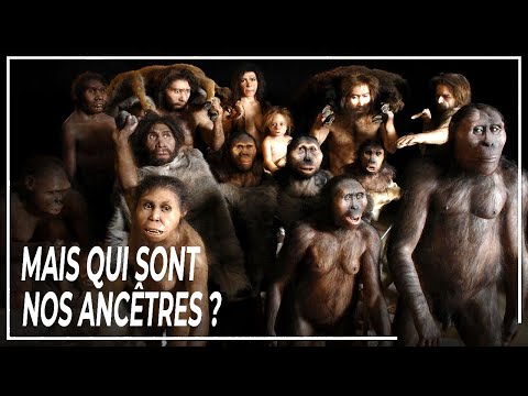 L'INCROYABLE Odyssée Humaine - Qui sont nos ancêtres ? | DOCUMENTAIRE Histoire Science Vie