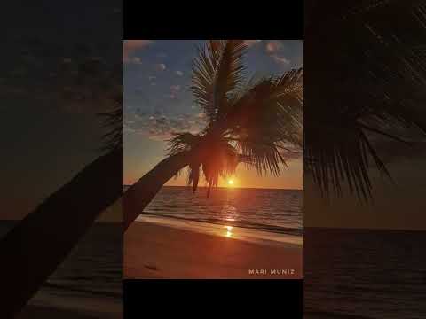 Caravelas/Bahia