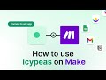 How To Use Icypeas On Make