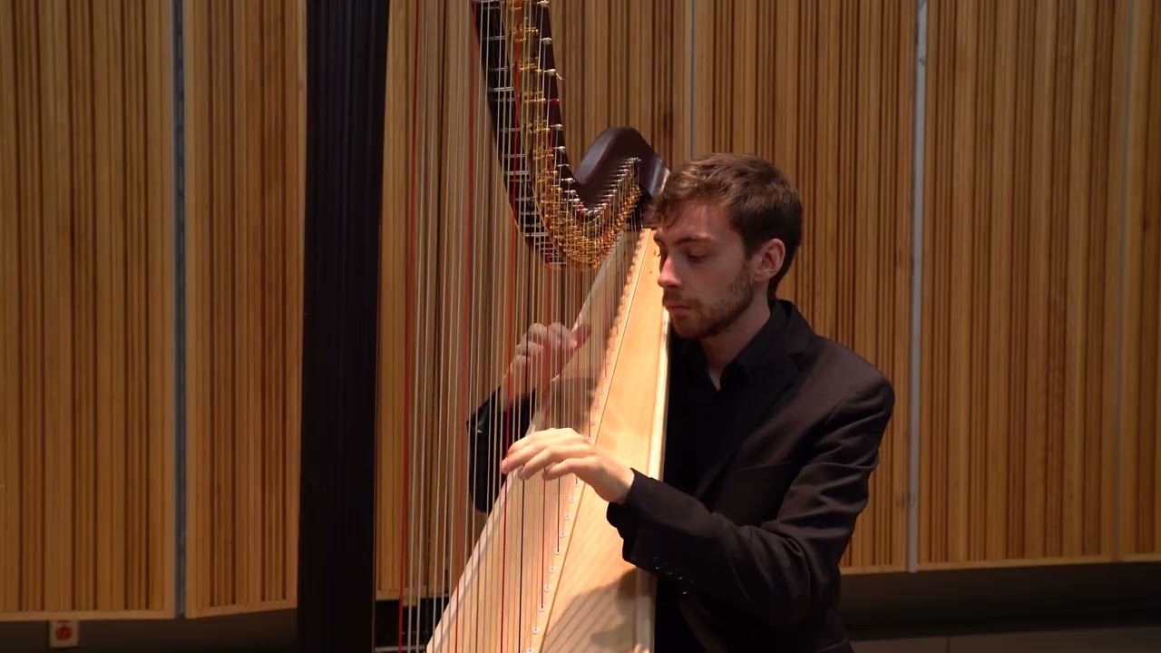 Promotional video thumbnail 1 for Kalen Smith - Harpist