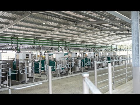 GEA Dairy Farming - Robotic Dairy Open Day | Bonnay Jerseys, South Gippsland VIC, Australia