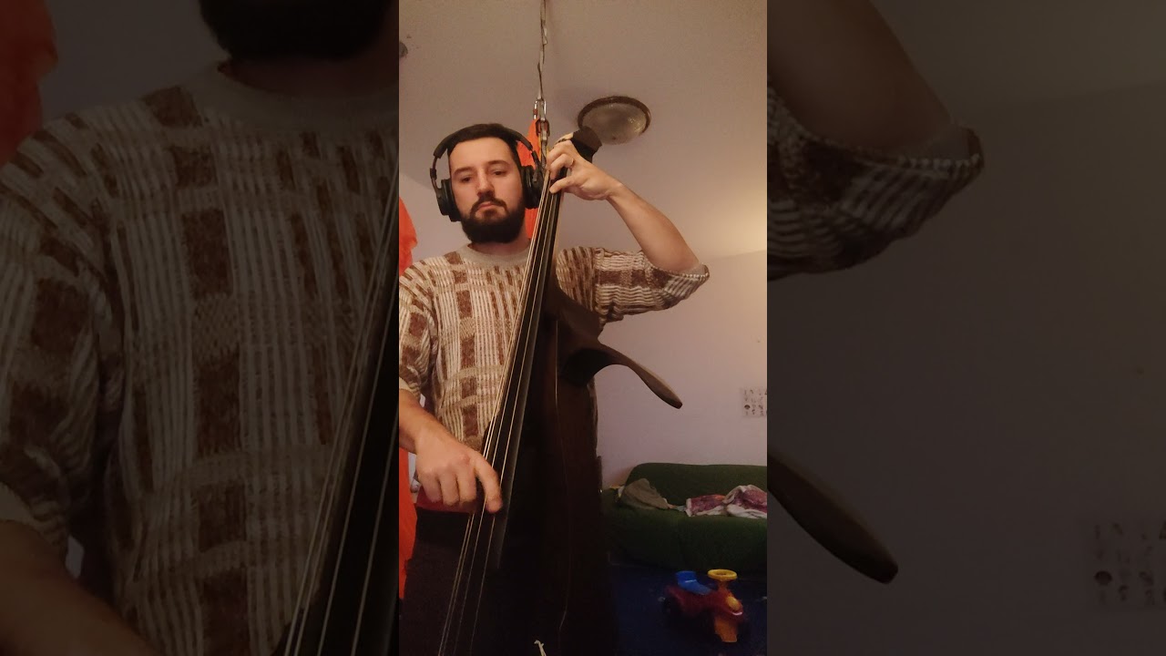 Days of wine and roses - Walking Bass Electric Upright Bass