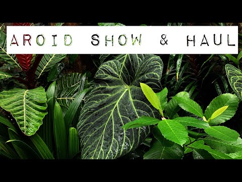International Aroid Show & Haul 2019 | Fairchild Tropical Botanic Garden Tour