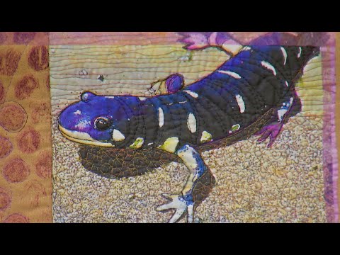 The Quilt Show: Trailer 3002 - Lisa Thorpe / Alex Anderson