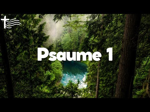 Psaume 1 • La voie des béatitudes que tous recherchent, mais que peu trouvent