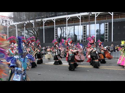 Woodland String Band 2024