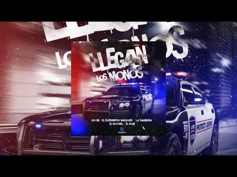 LLEGAN LOS MONOS | (TEPE TEPE ) NEW SONG GoD AaDiT