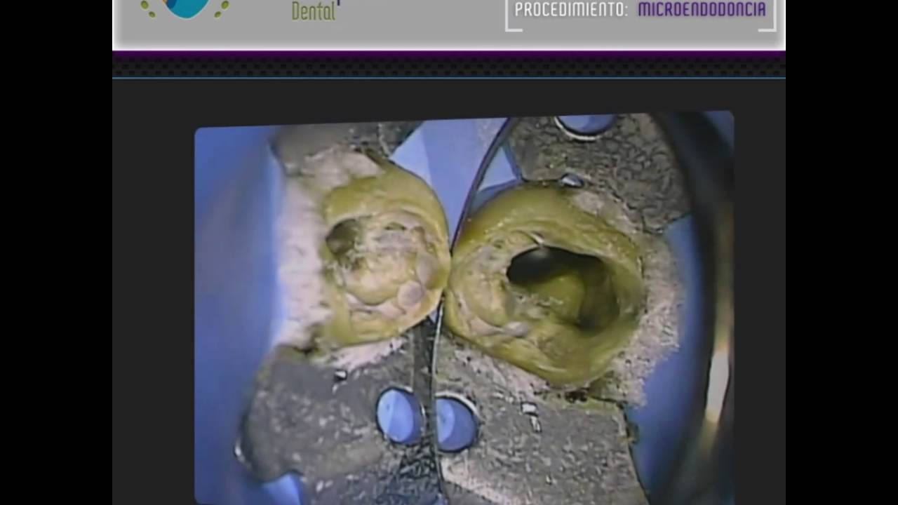 Ana Guadalupe Ontiveros Granados-6