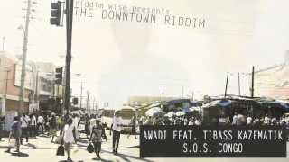 Awadi feat. Tibass Kazematik - S.O.S. Congo [The Downtown Riddim - Riddim Wise]