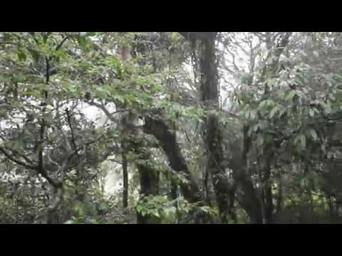 Lalremthangi Pautu - Hawh U Lalpa Hnenah