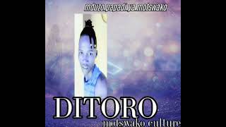 Ditoro by papadi ya motswako