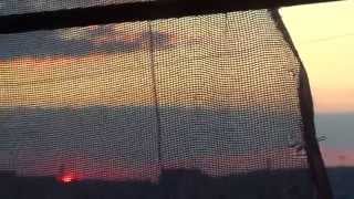 JAVRA - Eternal Spring