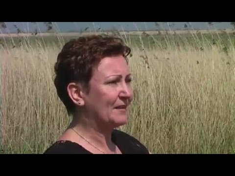 "Krachtige vrouw in Almere": Gesina Tatipata