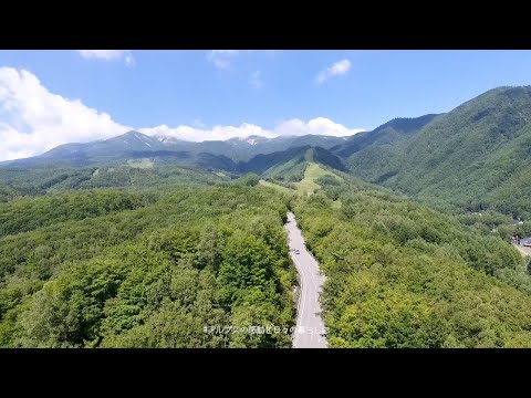 乗鞍高原 (Norikura Kogen) - Wild & Free