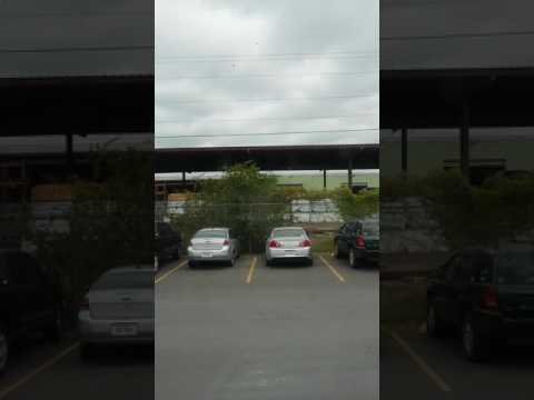 killer news in the 956 !!!