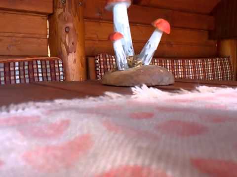 Wabi Daněk - Ročník 47