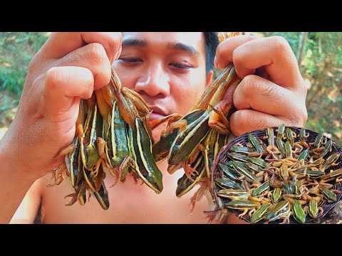 Catch green frogs from the river - Frogs fried eating delicious - Adventure solo in forest