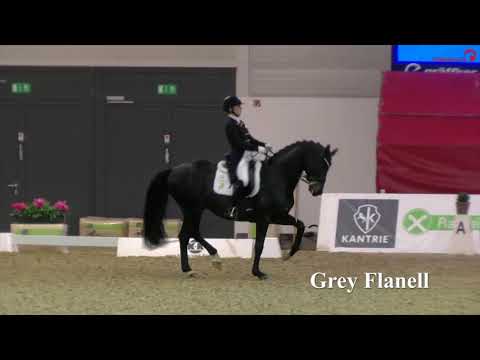 Grey Flanell English 2020