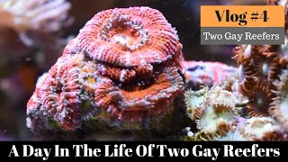 A Day in the Life of Two Gay Reefers VLOG #4