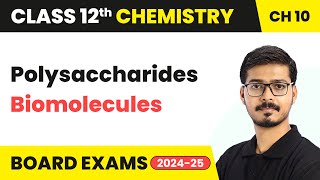 Polysaccharides - Biomolecules | Class 12 Chemistry Chapter 10 | CBSE 2024-25