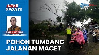 Pohon Tumbang Picu Kendaraan Macet Mengular 2 Kilometer di Kawasan Jalan Pantura Kudus-Pati