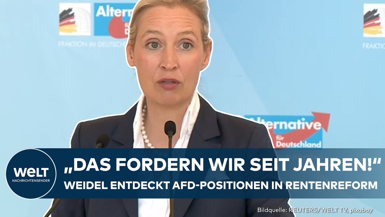 AFD: Weidel rechnet ab! „Ein Desaster! Mini-Jobs sollen abgeschafft werden!"