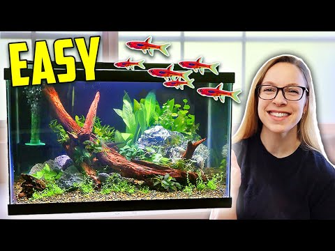 How to Set Up a 10 Gallon Planted Tank (Aquascape Tutorial)